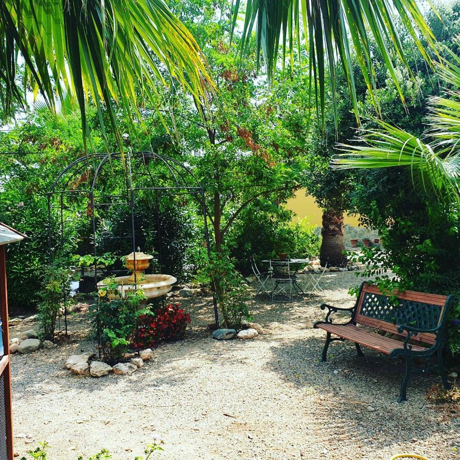 Masia Castellvi B&B Vinyols i Els Arcs Exterior photo